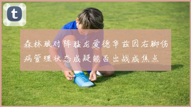 森林狼对阵猛龙爱德华兹因右脚伤病管理状态成疑能否出战成焦点