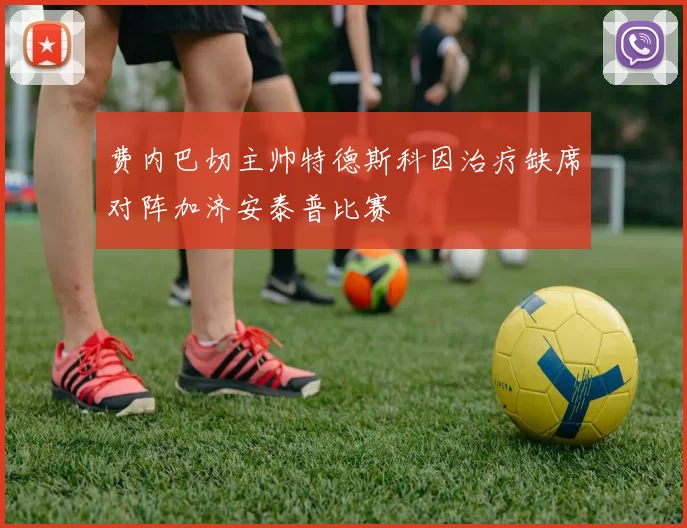 费内巴切主帅特德斯科因治疗缺席对阵加济安泰普比赛