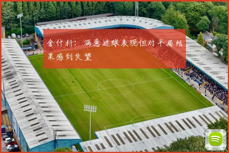 舍什科：满意进球表现但对平局结果感到失望