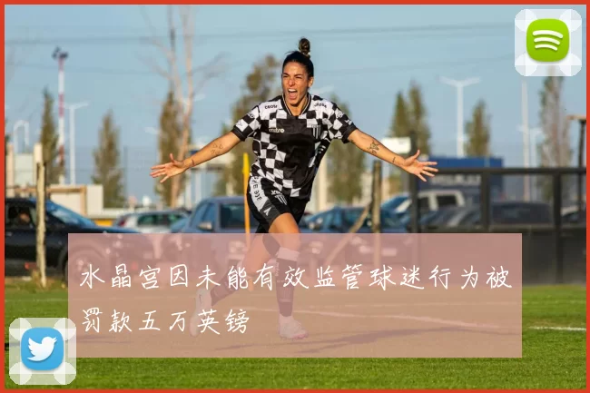 水晶宫因未能有效监管球迷行为被罚款五万英镑