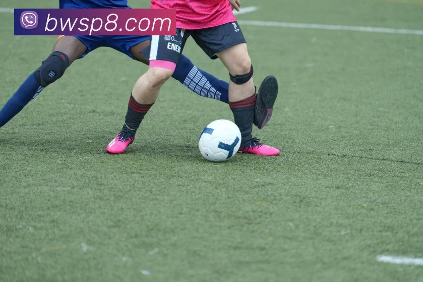 宝威体育APP 封面图